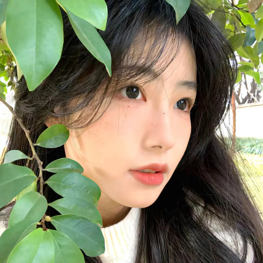 猫眼三姐妹第一季