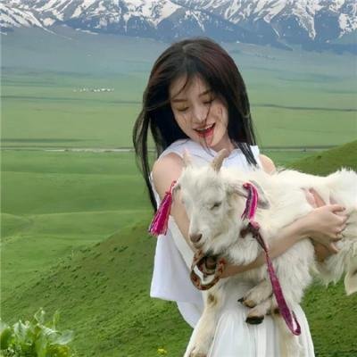 派特和麦特：再度出击